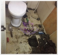 Có nên đổ nước xà phòng vào bồn cầu hay không?