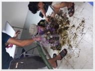 Cách xử lý ống thoát nước sàn có mùi hôi đơn giản