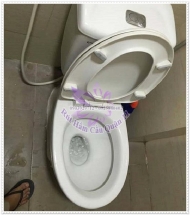 Cách xử lý bồn cầu có tiêng kêu ục ục, có mùi hôi, bắn nước lên