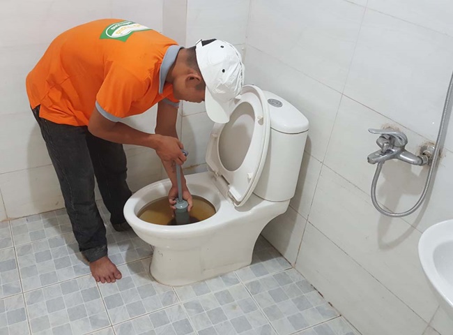 Nhân viên làm việc nhiệt tình