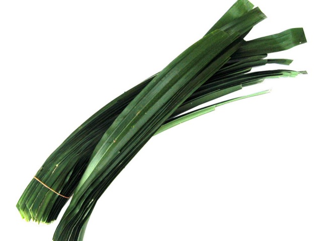 d&ugrave;ng l&aacute; dứa l&agrave;m thơm nh&agrave; vệ sinh