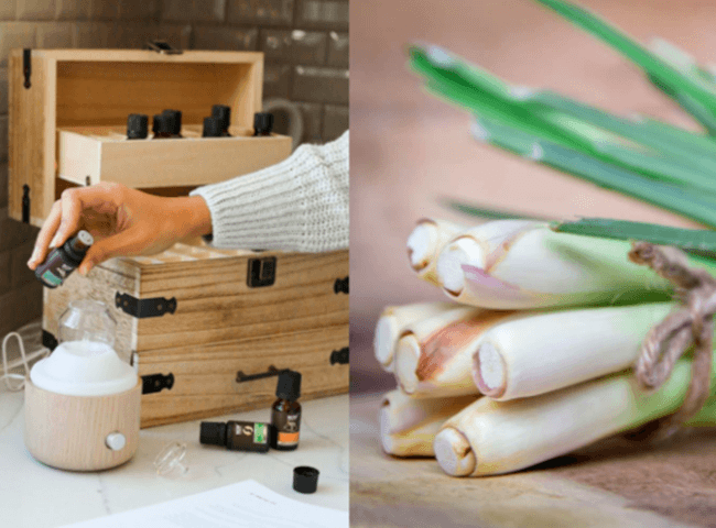 Làm thơm phòng ngủ bằng sả