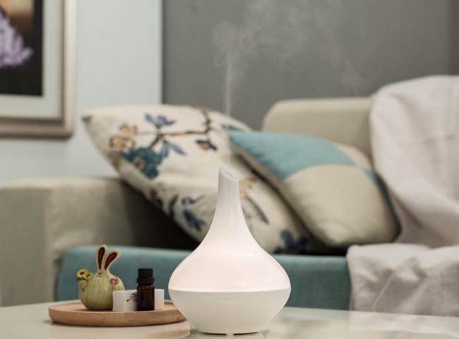 Làm thơm phòng khách bằng sả