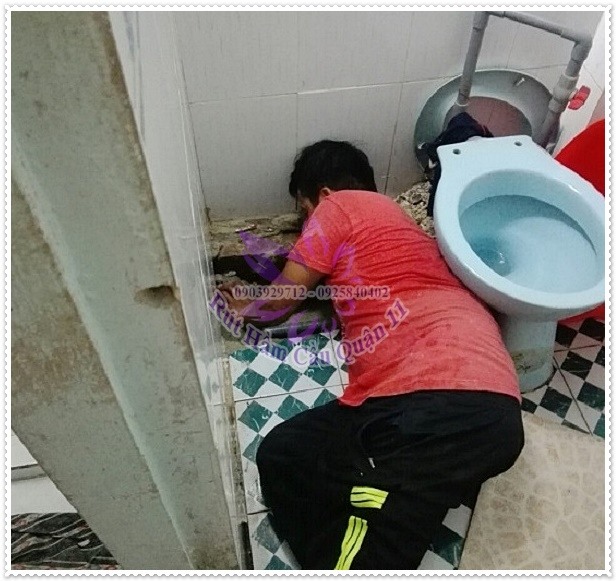 Khi bồn cầu nghẹt có nên đào một hầm cầu mới không