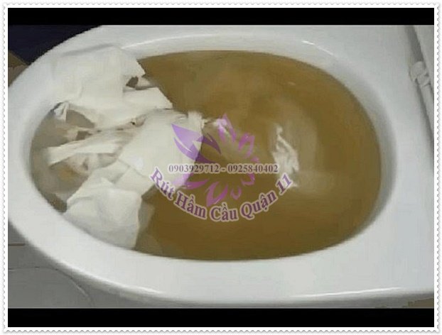 Nguyên nhân bồn cầu bị nghẹt